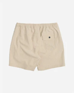 LOST CLOTHING MASTER BEACHSHORT (10800545) 19 LOST CLOTHING MASTER BEACHSHORT (10800545) -Board Zone Shop 10800545 HST 1 23109.1684357076