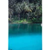 LEUS JOHN BARTON JUNGLE TOWEL -Board Zone Shop leus beachtowel john barton jungle 76d58d5c 2fba 4fd0 a93b 2a5177e2d37c 68962.1673632348