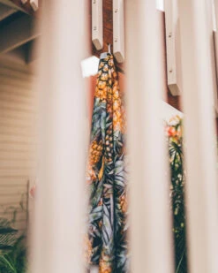 LEUS PINEAPPLE PARADISE TOWEL (EX) 10 LEUS PINEAPPLE PARADISE TOWEL (EX) -Board Zone Shop leus beachtowel pineapple paradise hanging 04967.1700415178